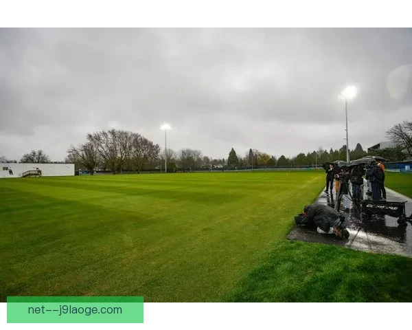 2026世界杯加拿大赛区绿色出行全攻略温哥华多伦多篇